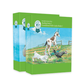 Reading Series Three Foundational Skills Teacher's Guide