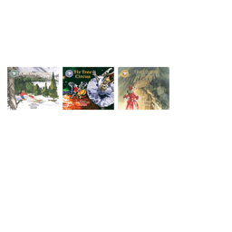 Reading Series Two Book Covers