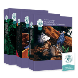 Reading Series Two Foundational Skills Teacher's Guide