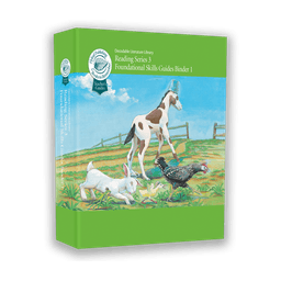 Reading Series Three Foundational Skills Teacher's Guide