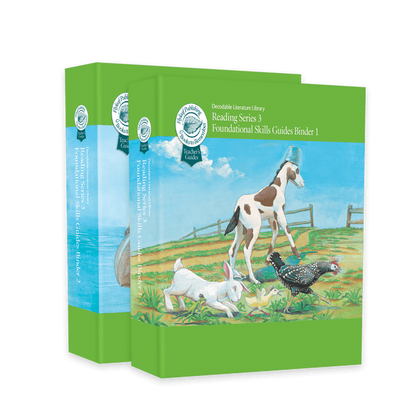 Reading Series Three Foundational Skills Teacher's Guide